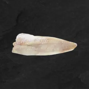 Menkes file