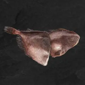 Juodasis paltusas